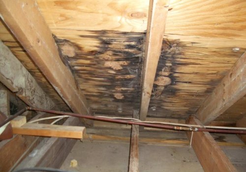 Repairing a Roof Leak from the Inside: Tips from a Roofing Expert